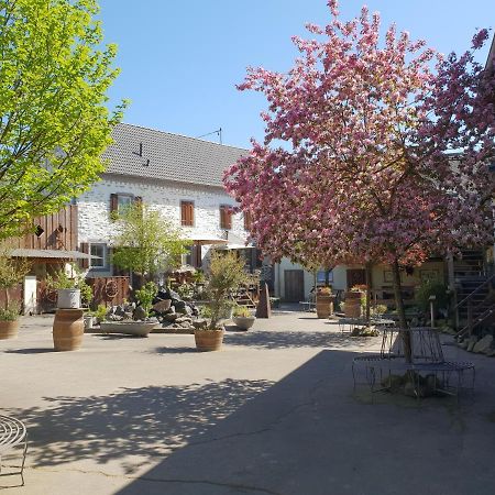 Schoene Wohnung Kleiner Onkel Auf Idyllischem Reiterhof Nahe Burg Eltz Munstermaifeld ภายนอก รูปภาพ