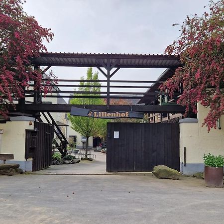Schoene Wohnung Kleiner Onkel Auf Idyllischem Reiterhof Nahe Burg Eltz Munstermaifeld ภายนอก รูปภาพ